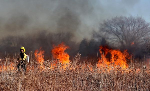 A wildfire burning across open prairie grassland with a column of smoke rising into the sky.