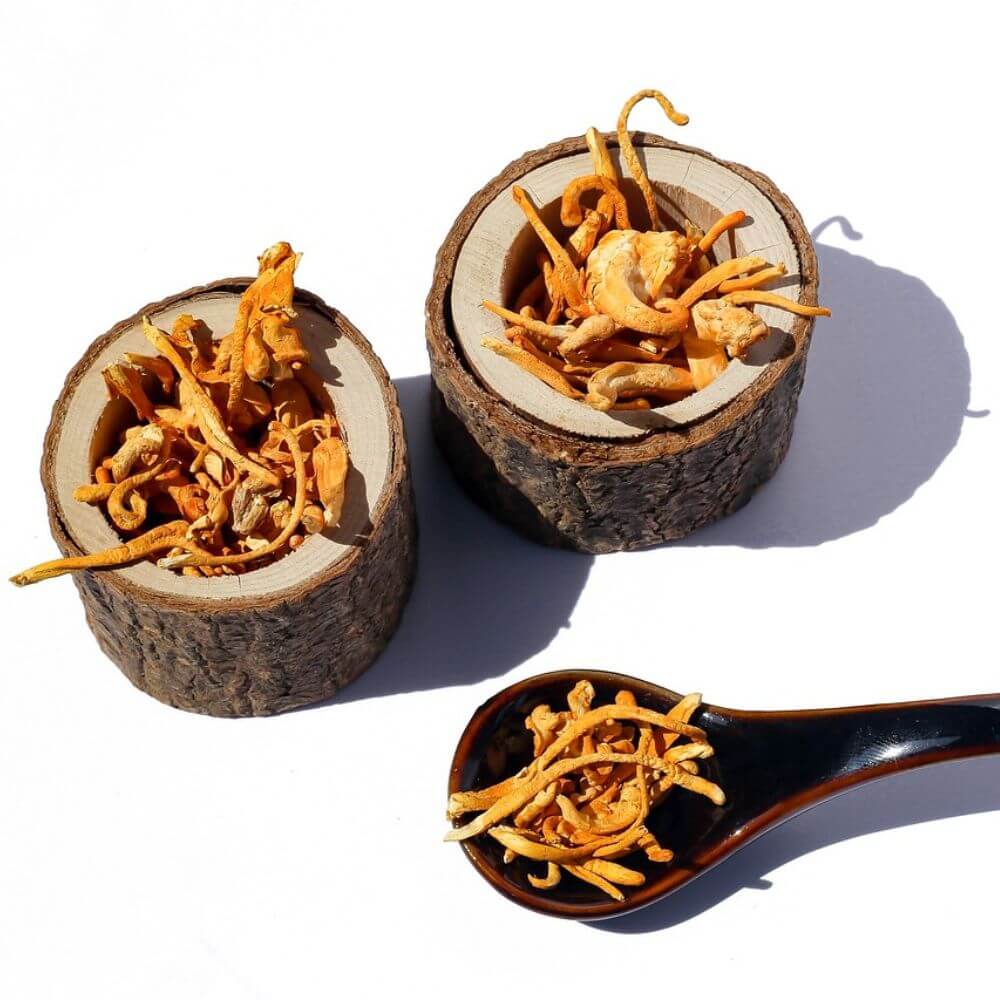 Best Cordyceps Supplement - Wood