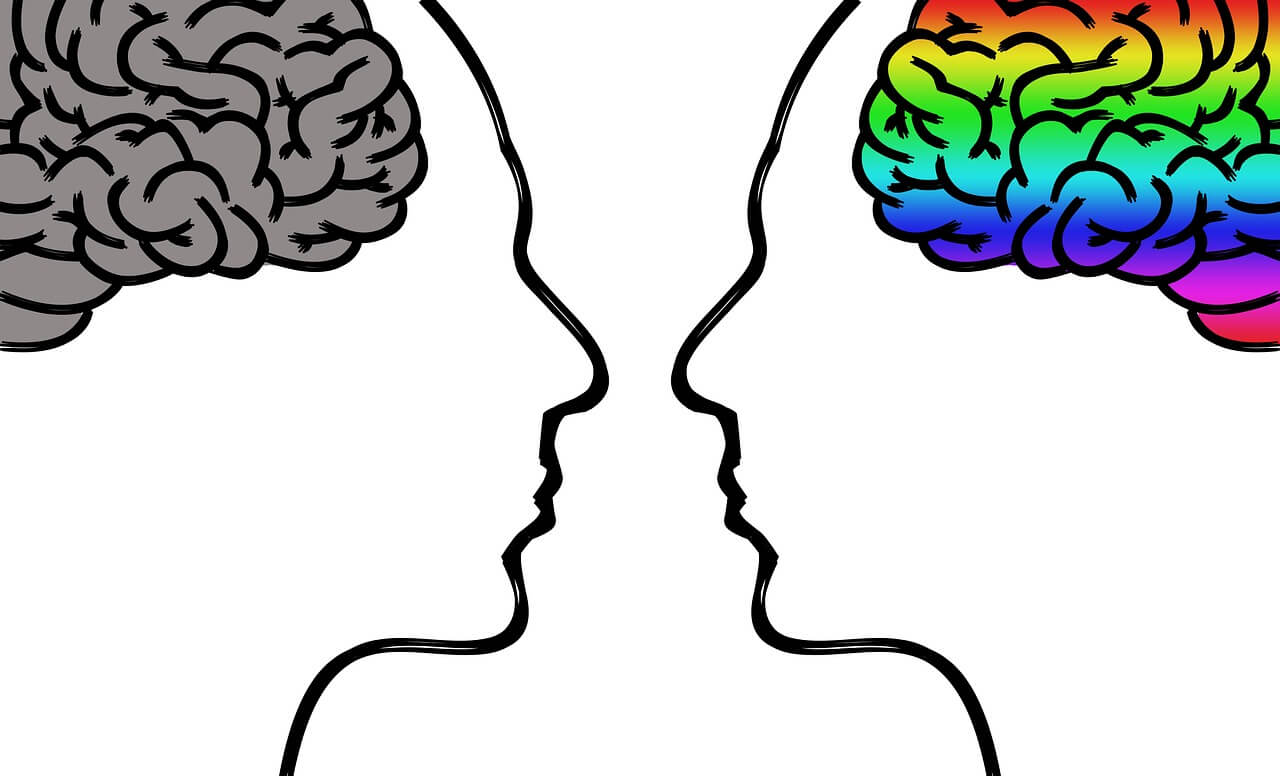 Functional vs Holistic Nutrition