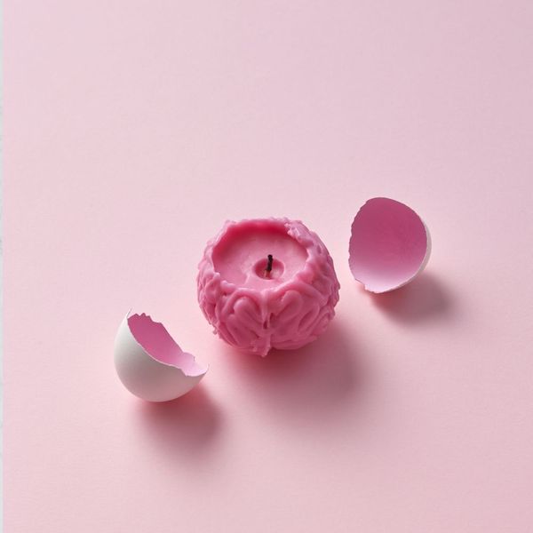 Why Are Nootropics Important?