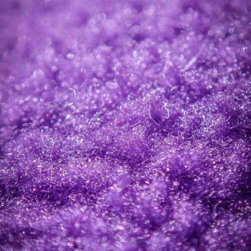 Purple Sea Moss