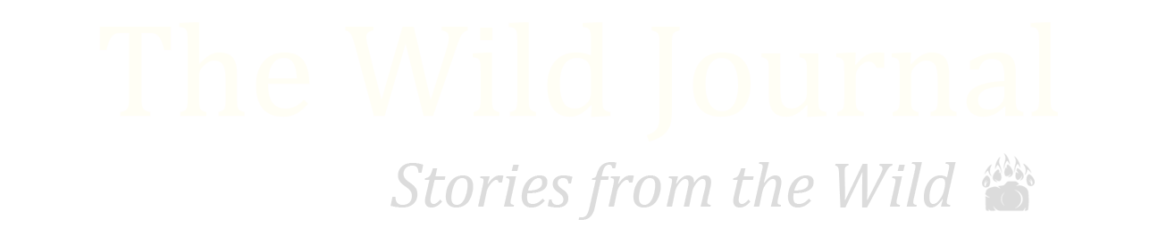 The Wild Journal