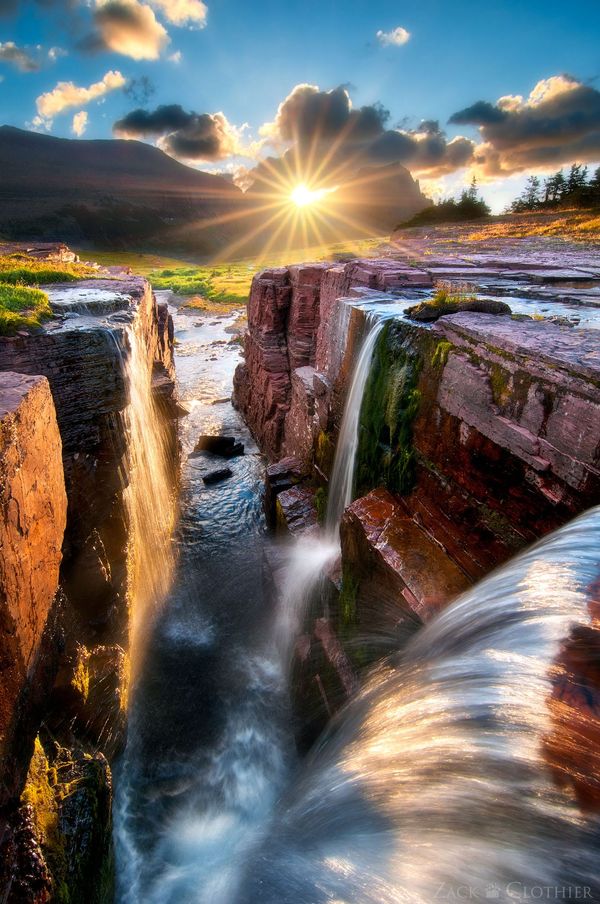 Crowning Glory