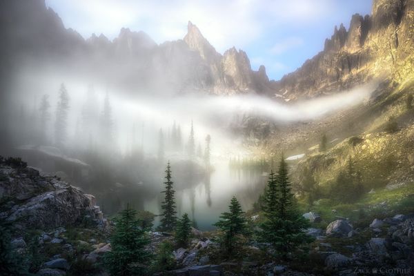 Why The Wild Journal?