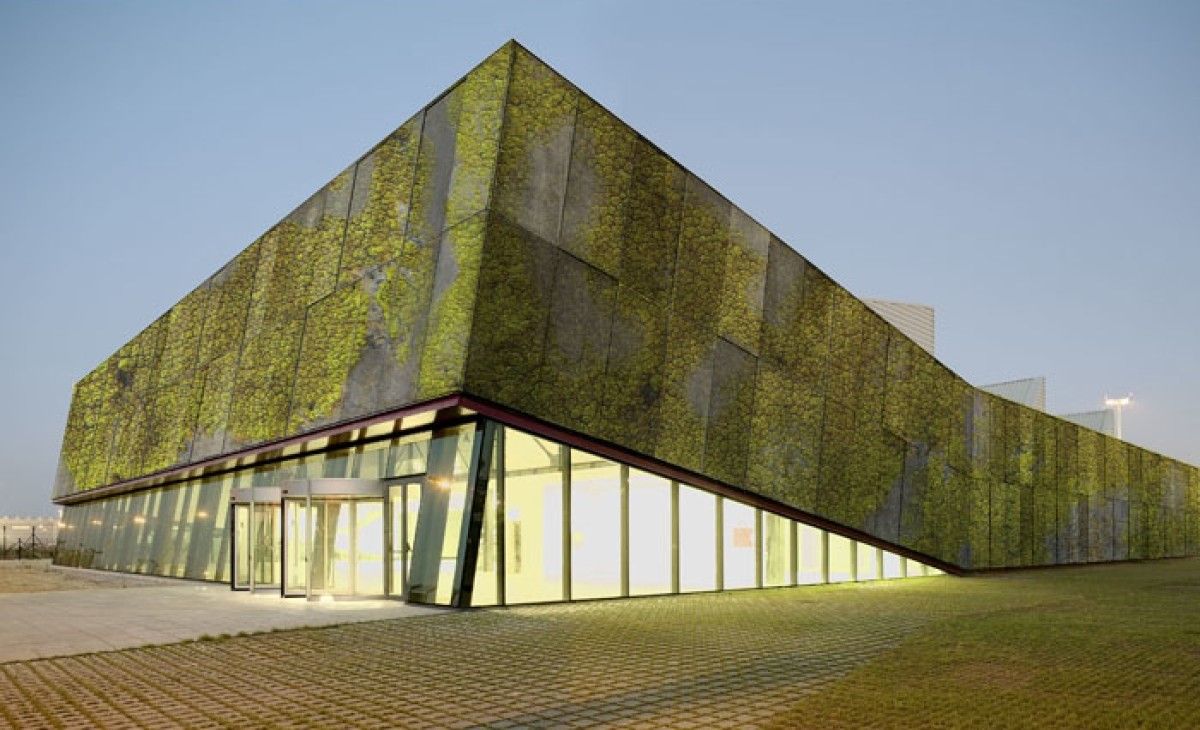 💚 Ny betong skapar levande moss-väggar som suger upp föroreningar