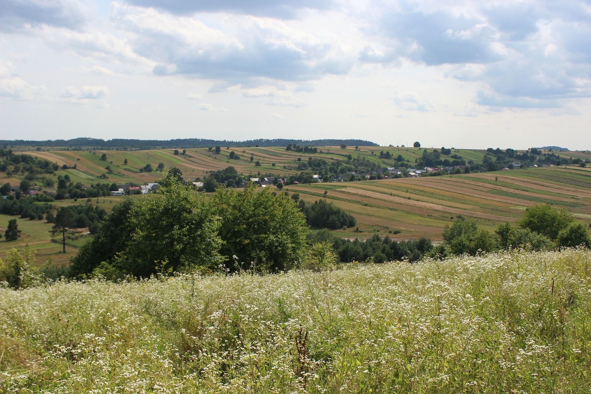 🌾 Ekologisk samodling kan minska den globala användningen av kvävegödsling med 26 procent