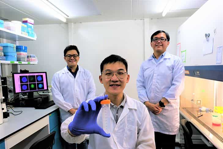 📥  En trojansk häst med nanopartiklar slår ut cancerceller