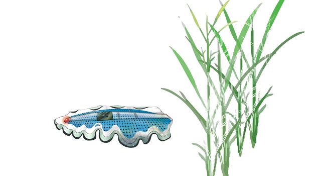 🐍 Maskliknande mikrorobot ska kartlägga jordbrukets miljöpåverkan