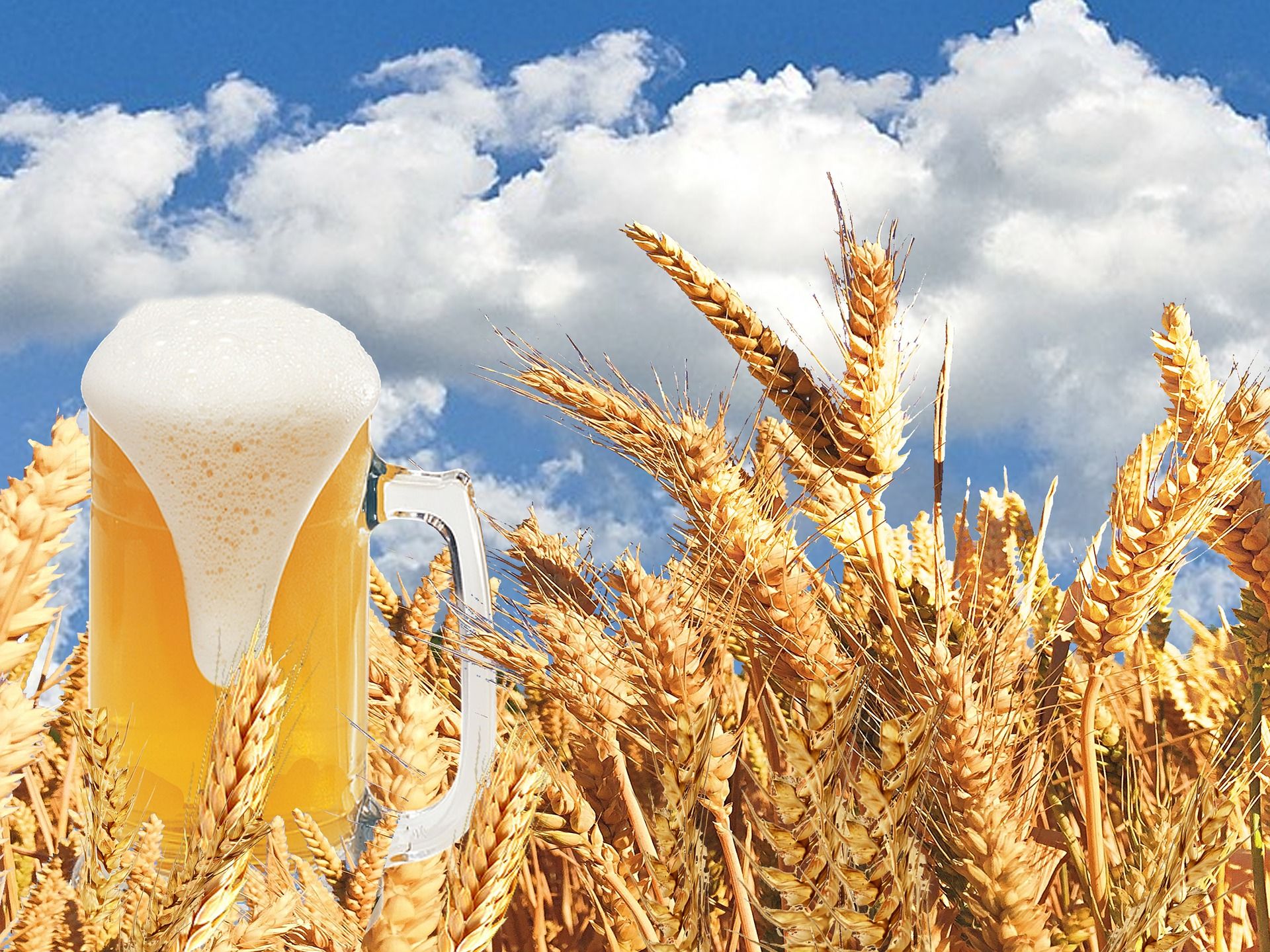 🍺 Restprodukter efter ölbryggning kan bli biobränsle