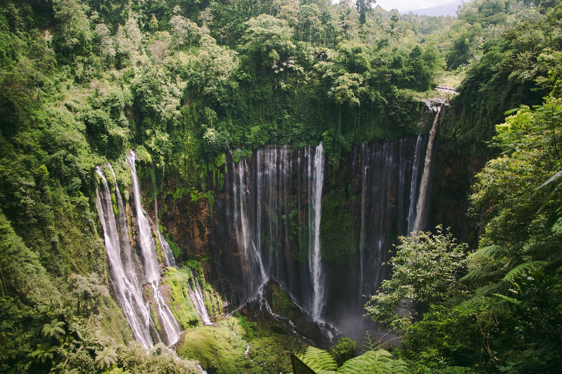 🌴 Avskogningen i Indonesien är den lägsta på 30 år