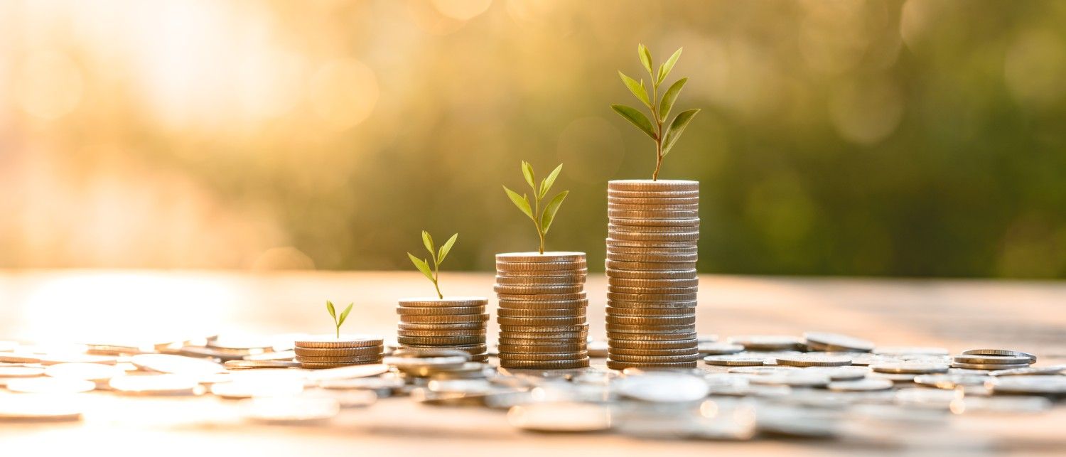 💰 Dubbelt så mycket investerades i gröna startups 2021