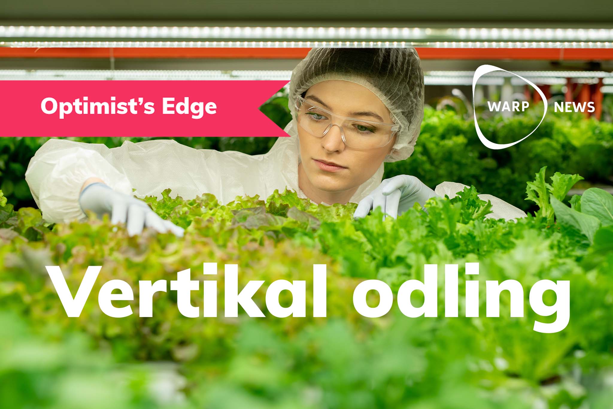 💡 Optimist's Edge: Framtidens odling flyttar in