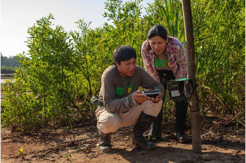 🐆 Ny enorm databas över Amazonas djurliv