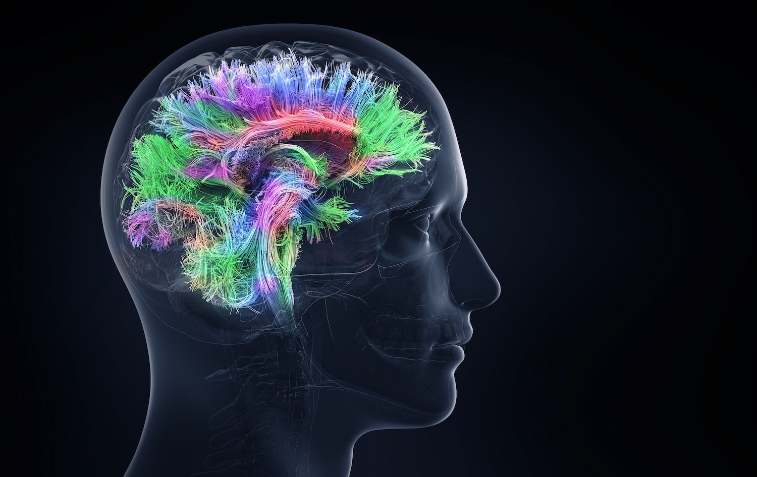 🧠 Ny gel ger hopp om återväxt av hjärnvävnad