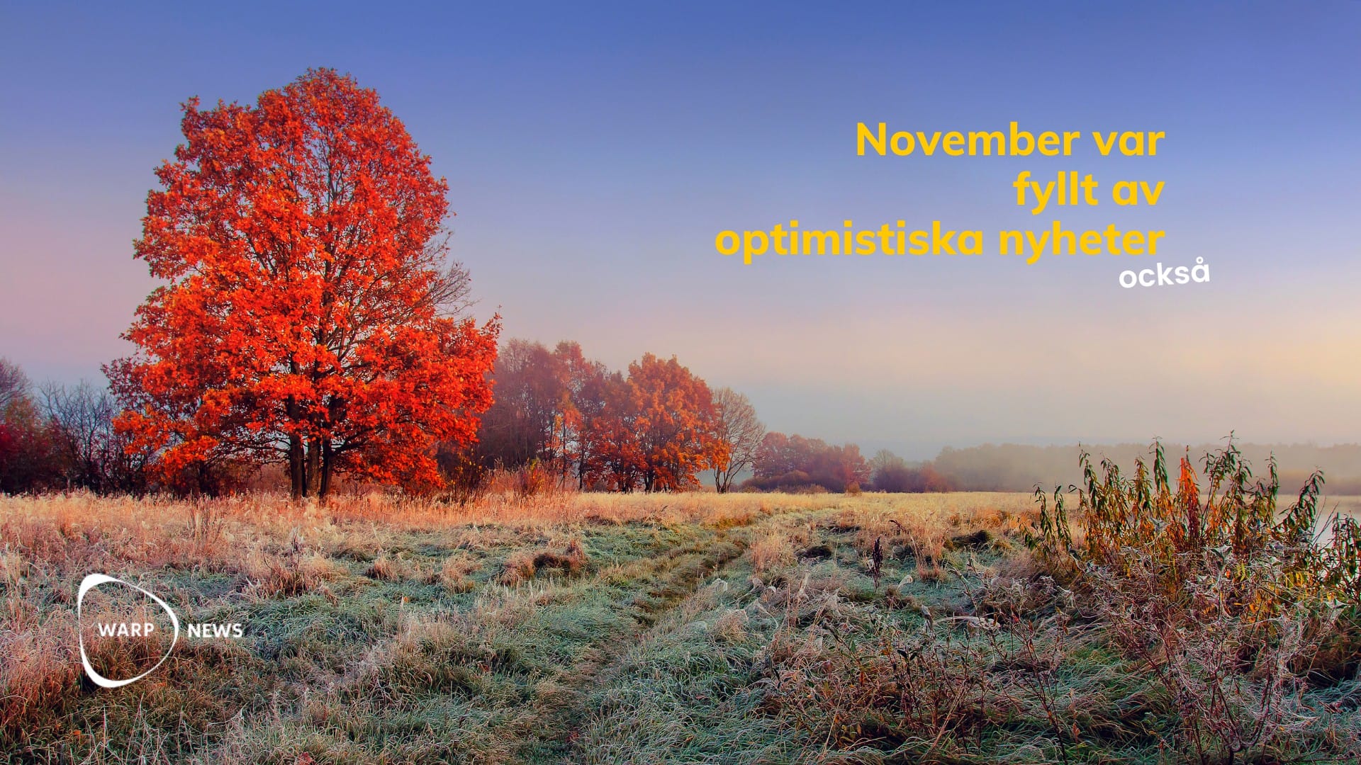 💡 Hopescrolling: Faktabaserade optimistiska nyheter från november