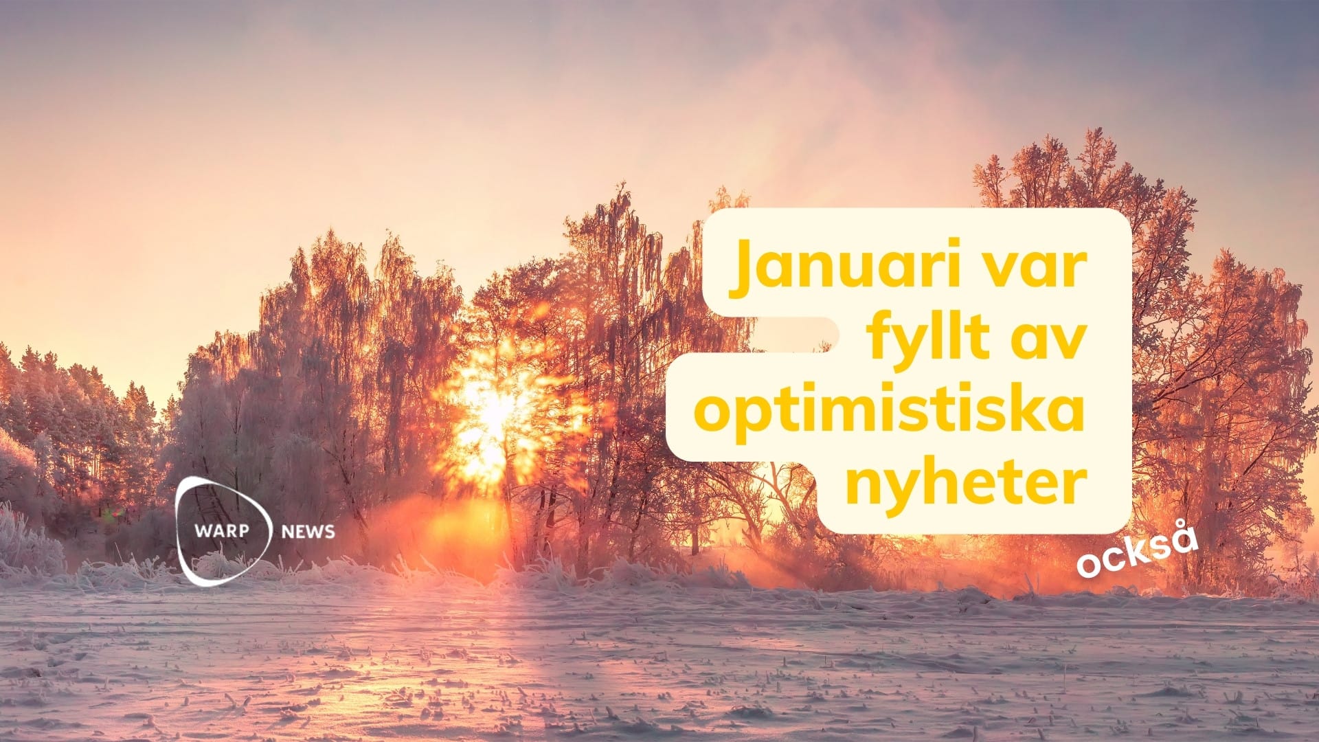 💡 29 faktabaserade optimistiska nyheter från januari