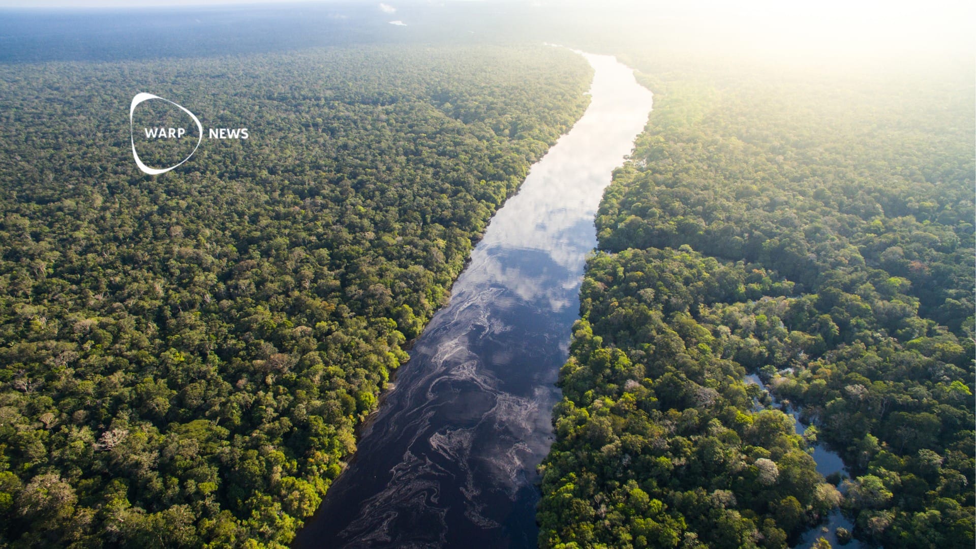 🌳 Avskogningen i Amazonas når lägsta nivån sedan 2018