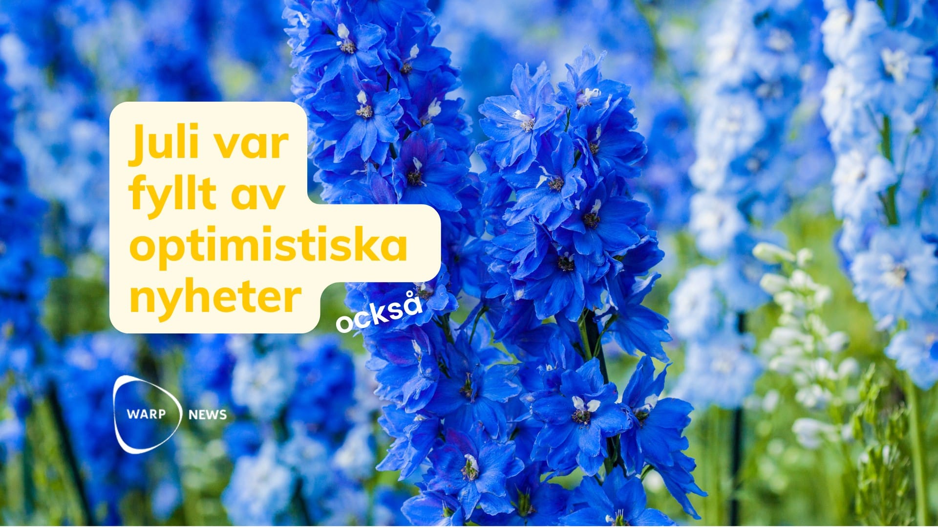 💡 Faktabaserade optimistiska nyheter från juli