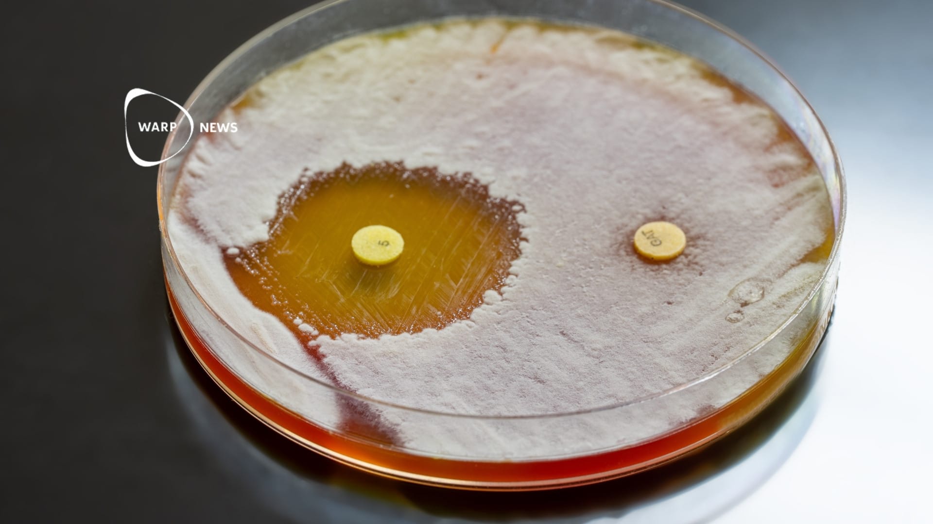 🧫 DARTS tar upp kampen mot antibiotikaresistens