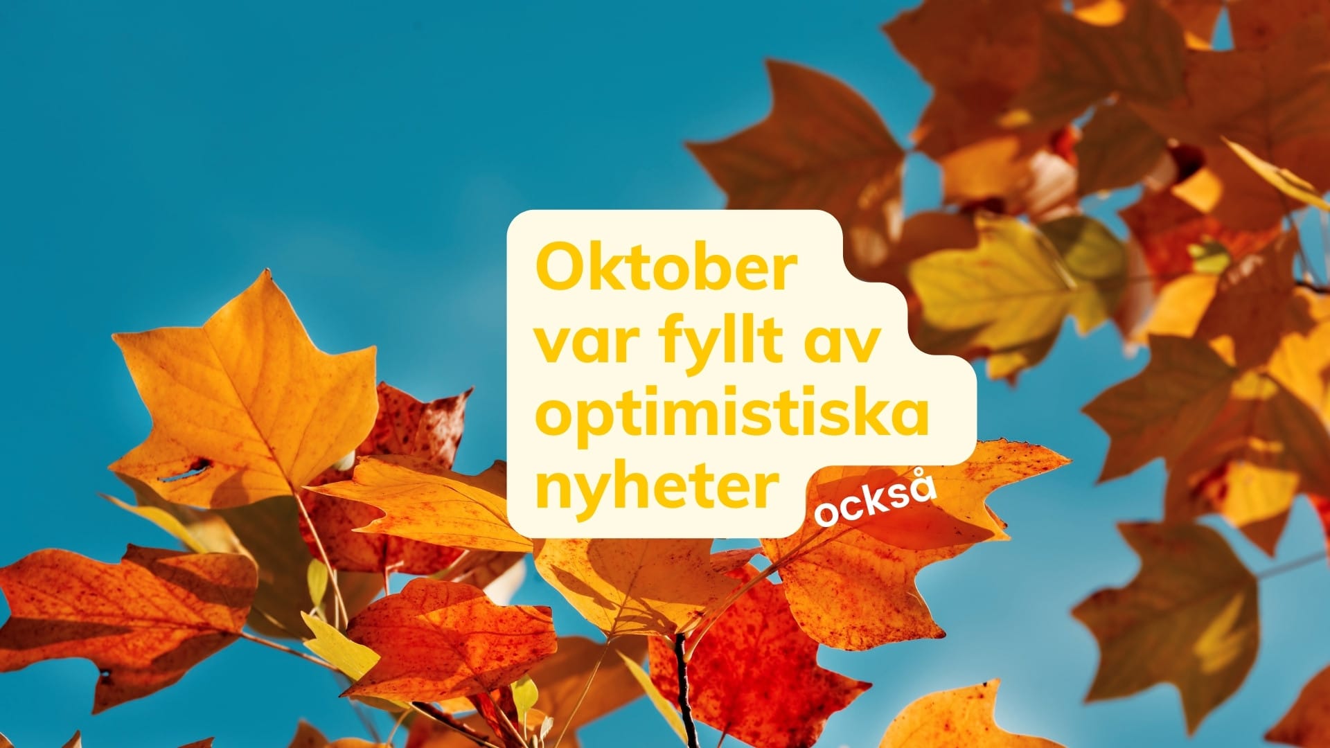 💡 Faktabaserade optimistiska nyheter från oktober