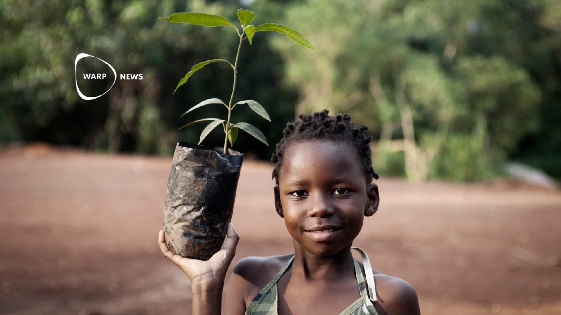 🌳 100 miljoner träd planteras i Afrika för att minska koldioxid i atmosfären