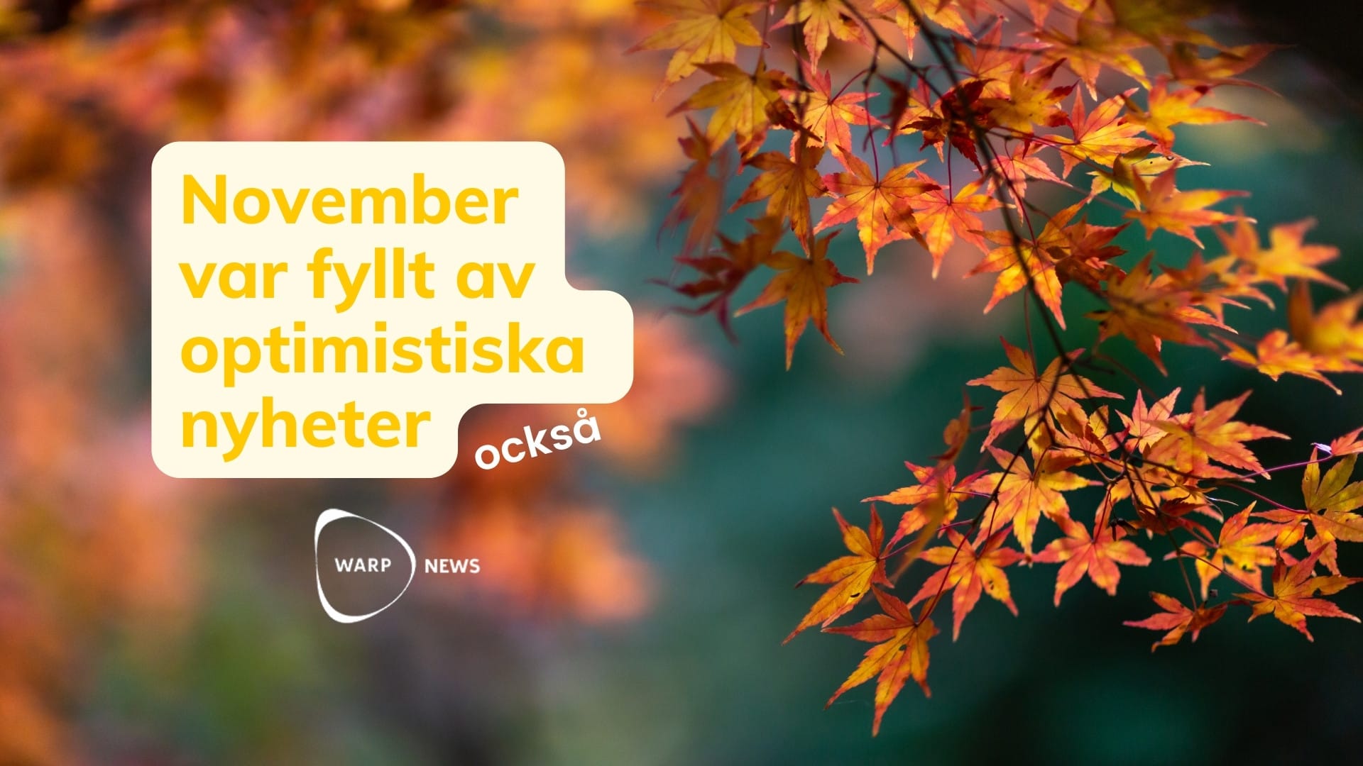 💡 Faktabaserade optimistiska nyheter från november
