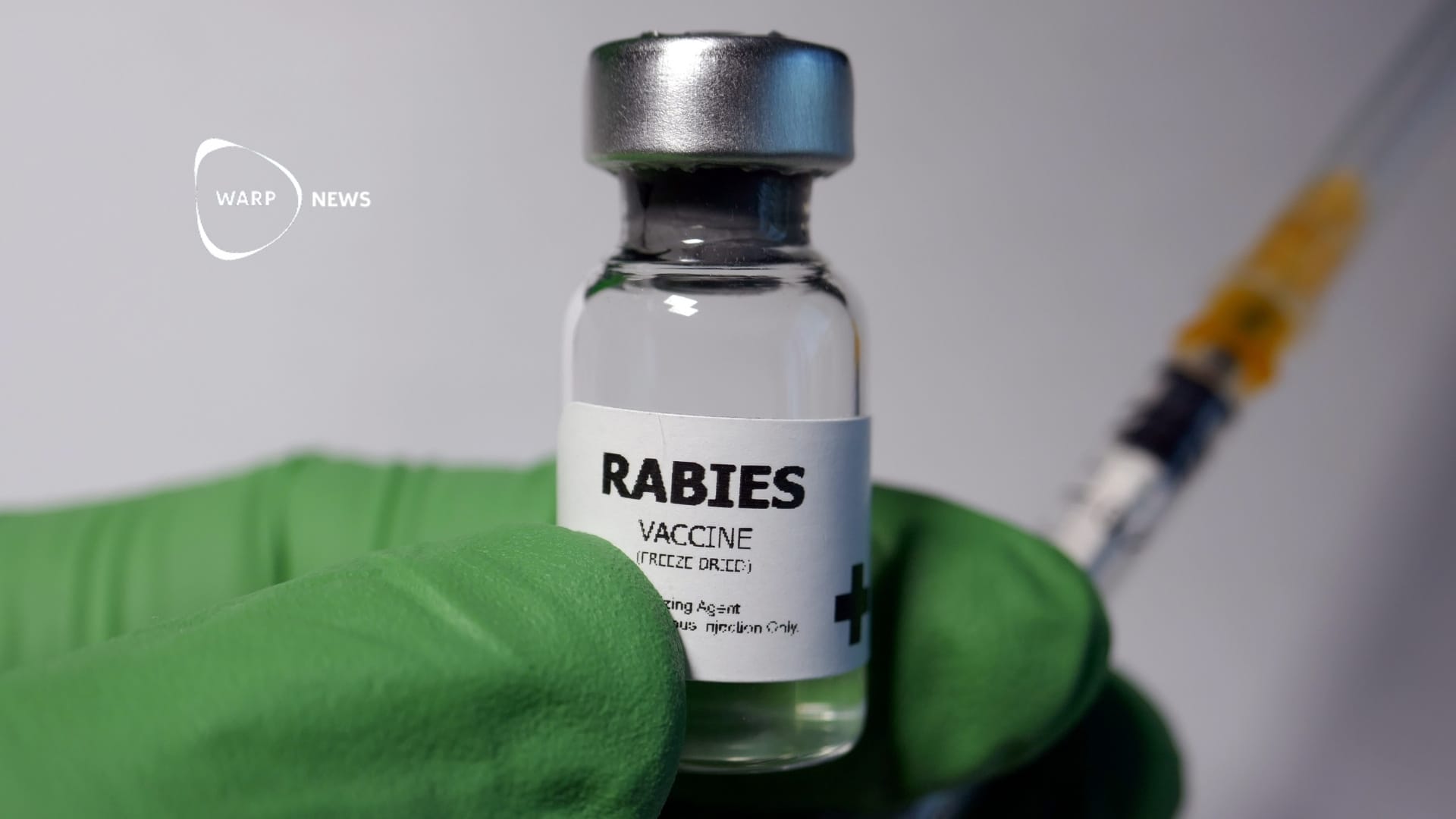 🐕 Nytt projekt ska utrota rabies i över 50 låginkomstländer