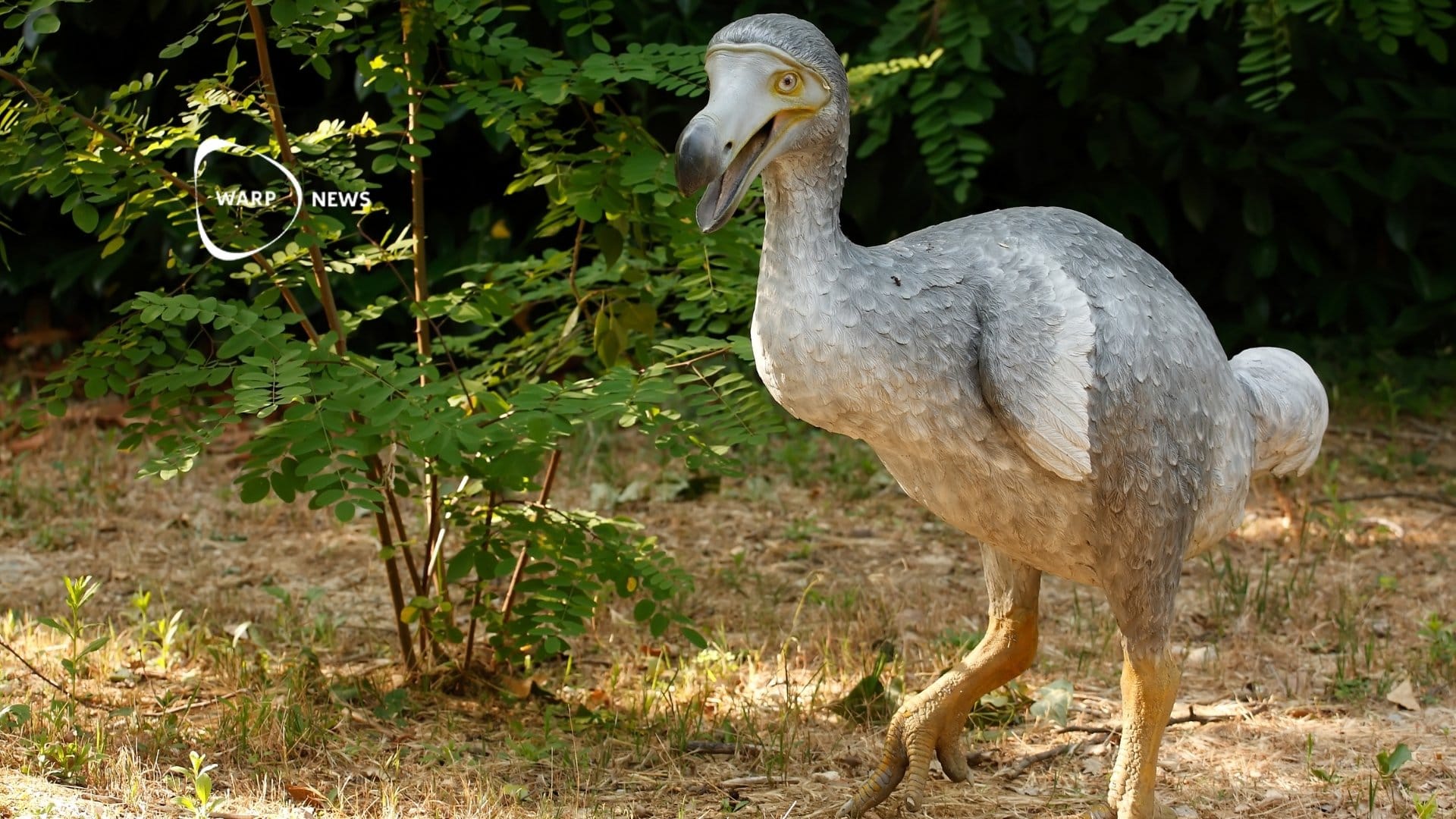 🐦 Forskare närmare att återskapa utdöd dront