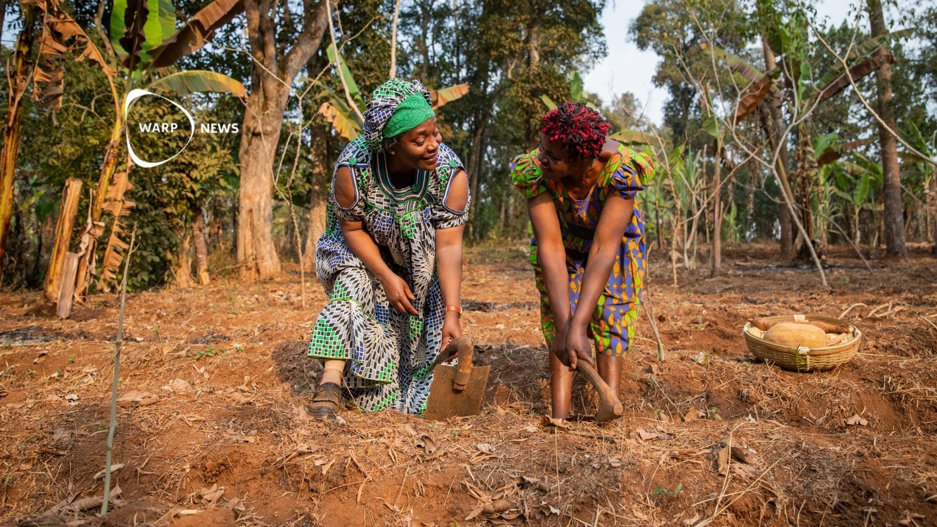 🏆 Fyra företag vinner över en miljard för sin koldioxidinfångning