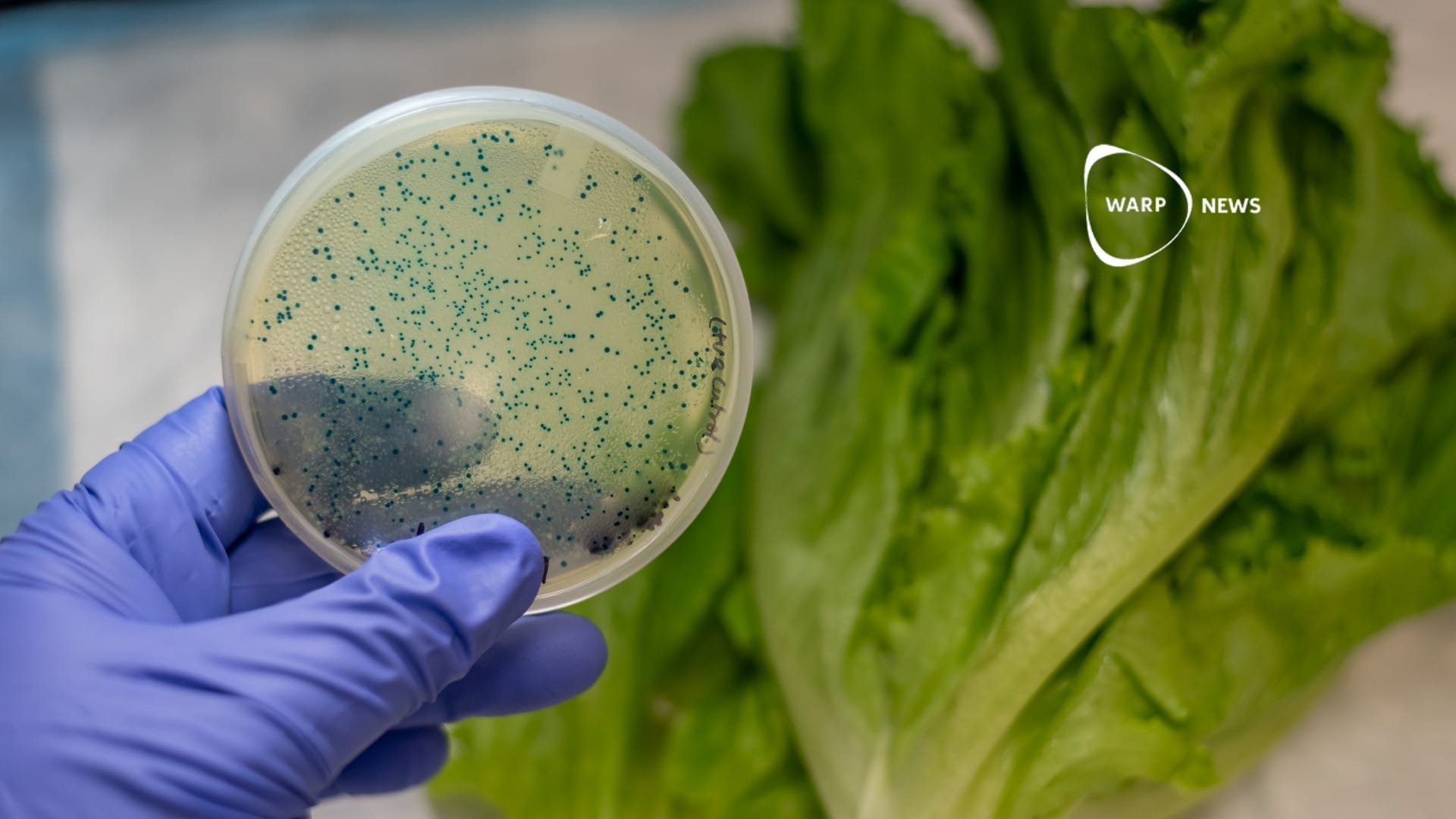 🦠 AI skapar virus som dödar E. coli-bakterier