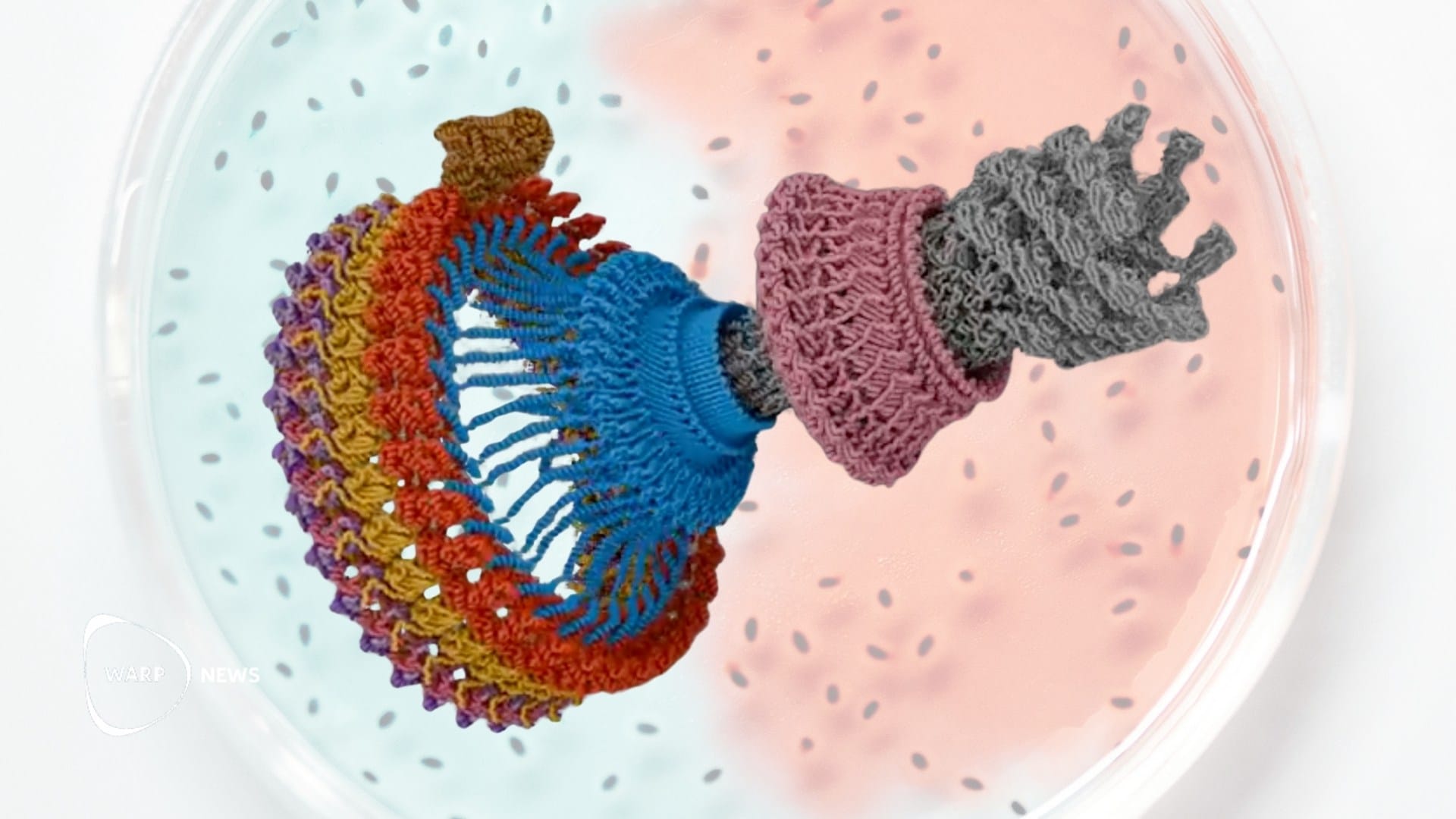 🧫 Bakterier simmar med en minimal elmotor som snurrar flera hundra varv i sekunden