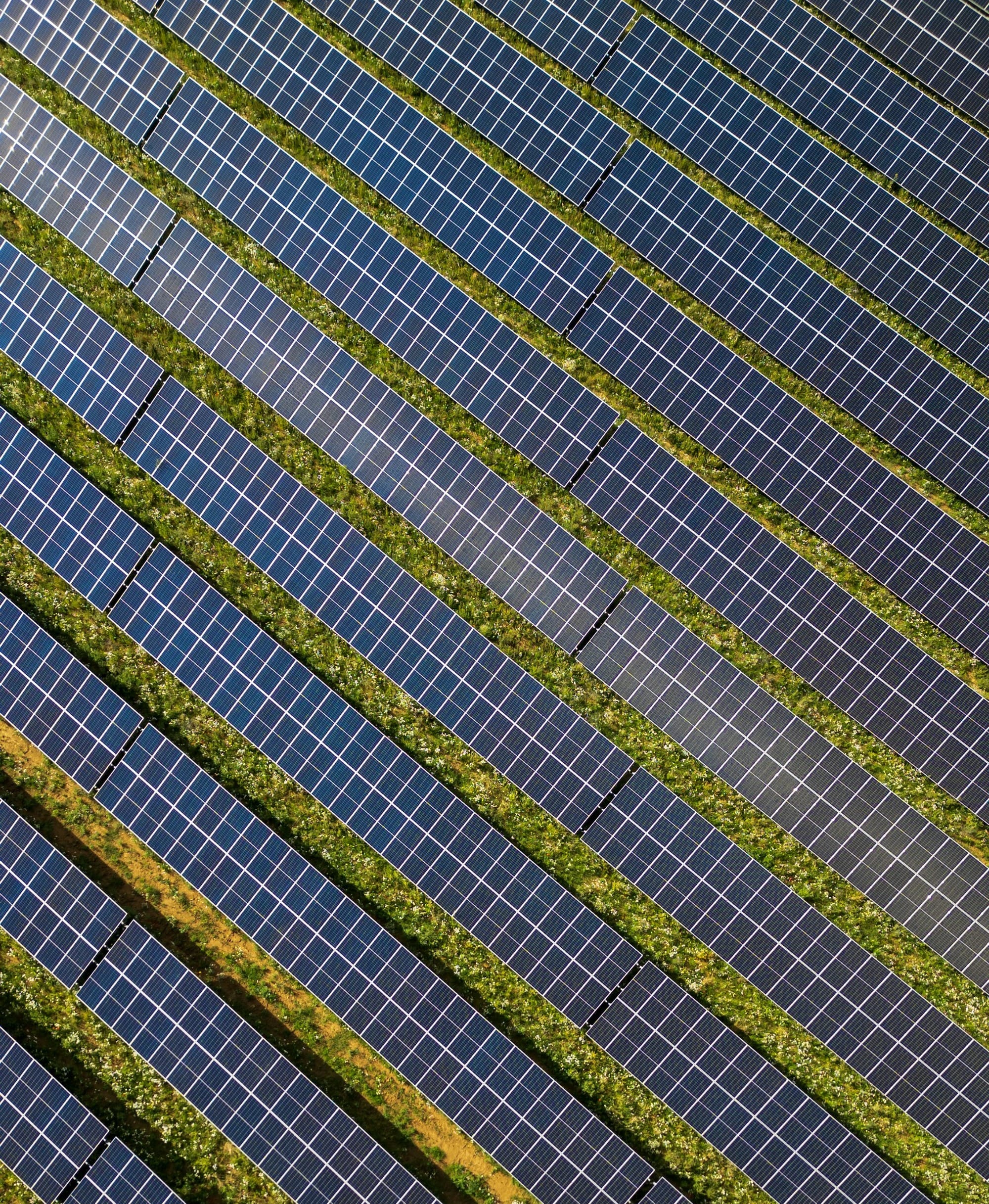 A bird sitting on top of a grass covered field