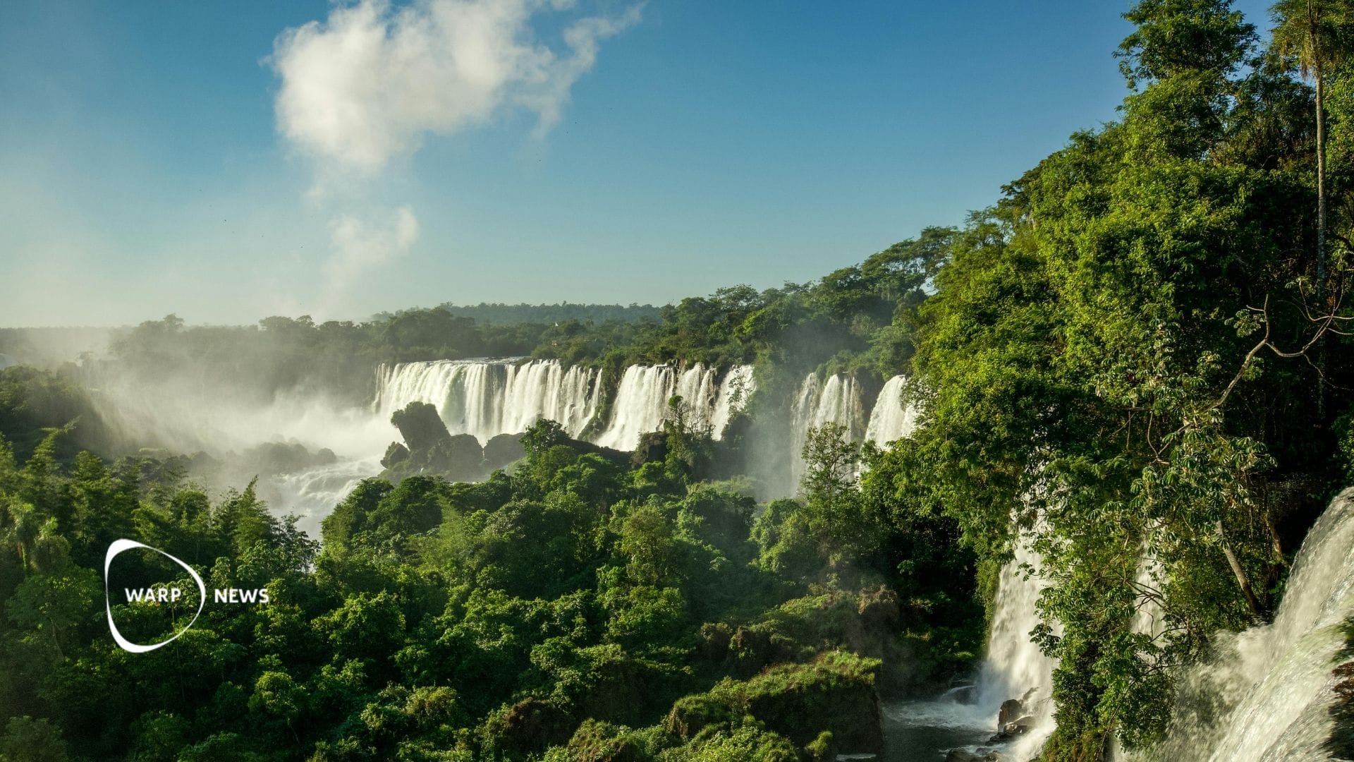 🌳 Avskogningen i Amazonas den lägsta på 13 år