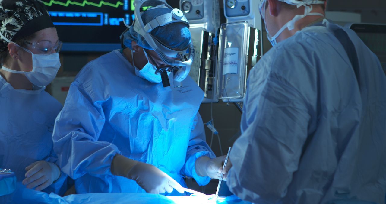 ❤️ Konstgjord dvala ger läkarna timmar istället för minuter att rädda de som fått hjärtstillestånd