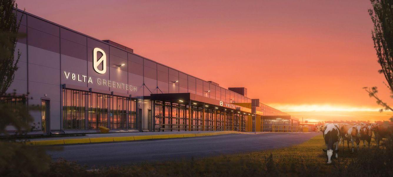 🐄 Svenska alger kan minska kornas gasutsläpp med 80 procent