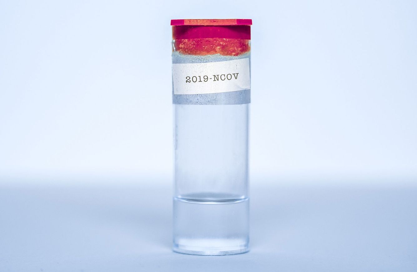 💉 Första peer-reviewed försöket som visar att ett vaccin mot covid-19 ger antikroppar mot viruset