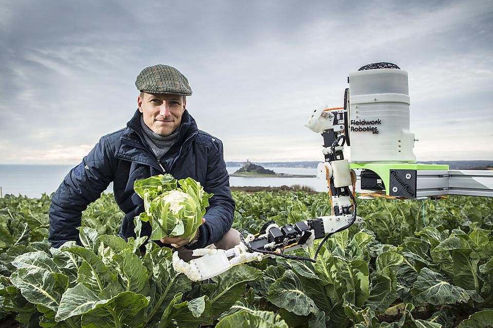 🌟  Robocrop - roboten som ska plocka blomkål