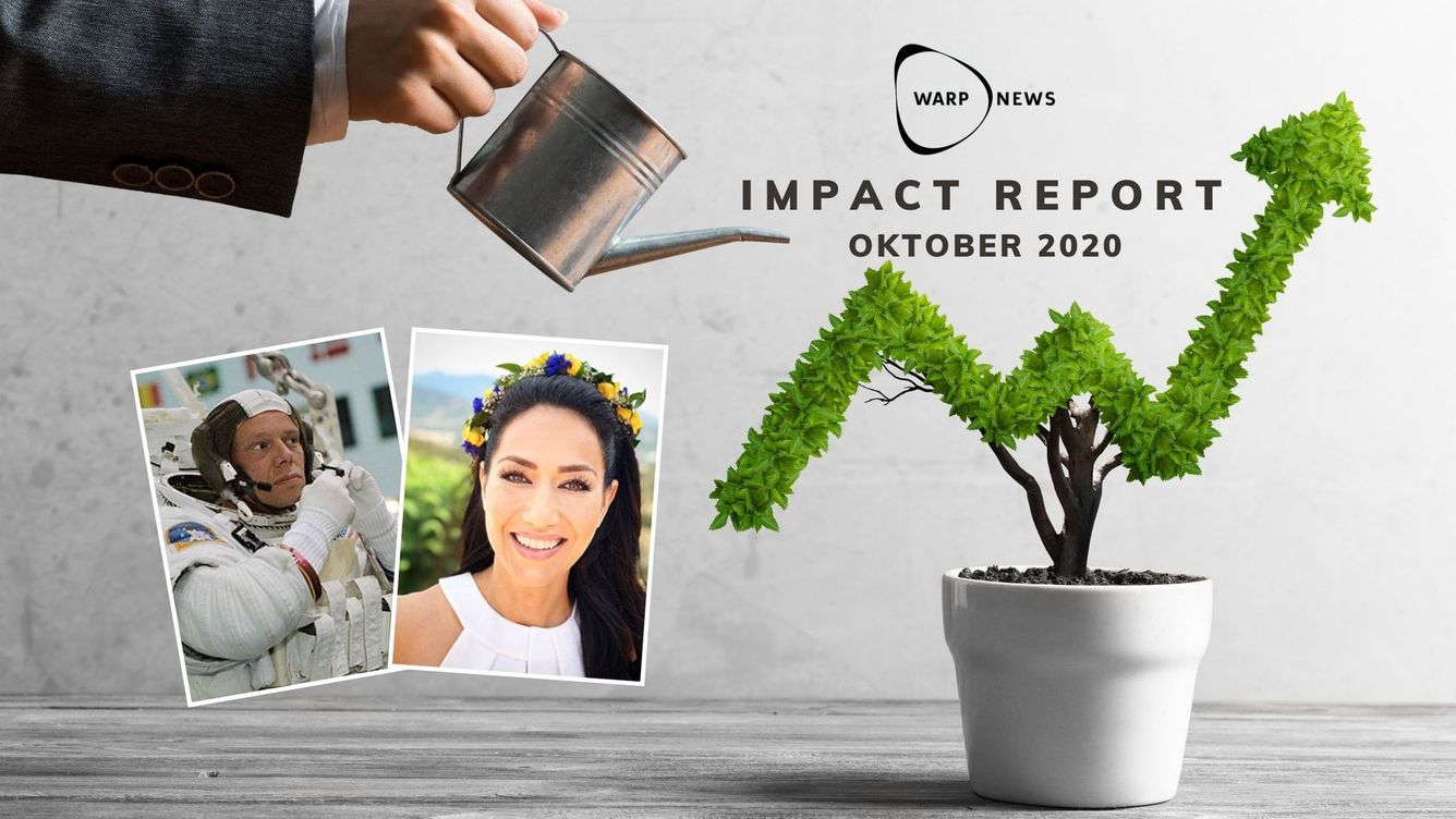 📝 Warp News Impact - oktober 2020