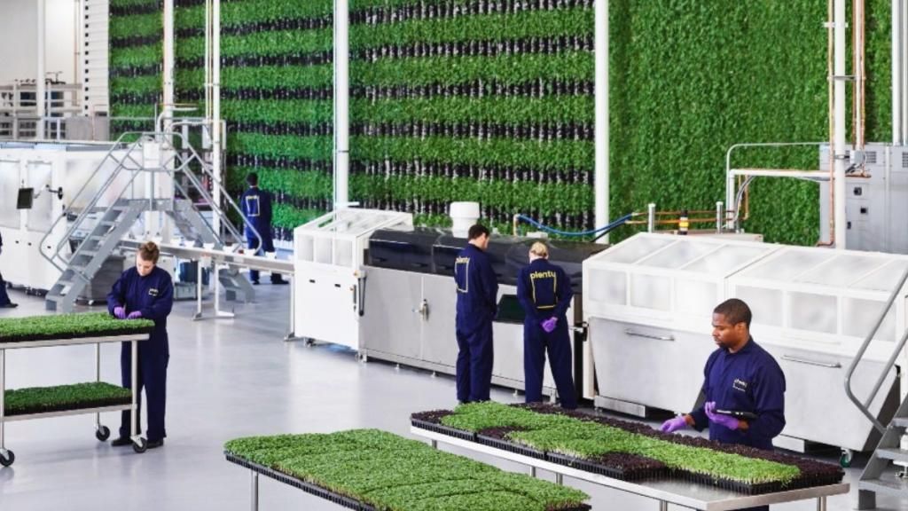 🌟  1:360 - en hektar vertikal odling producerar lika mycket som trehundra sextio hektar traditionell odling