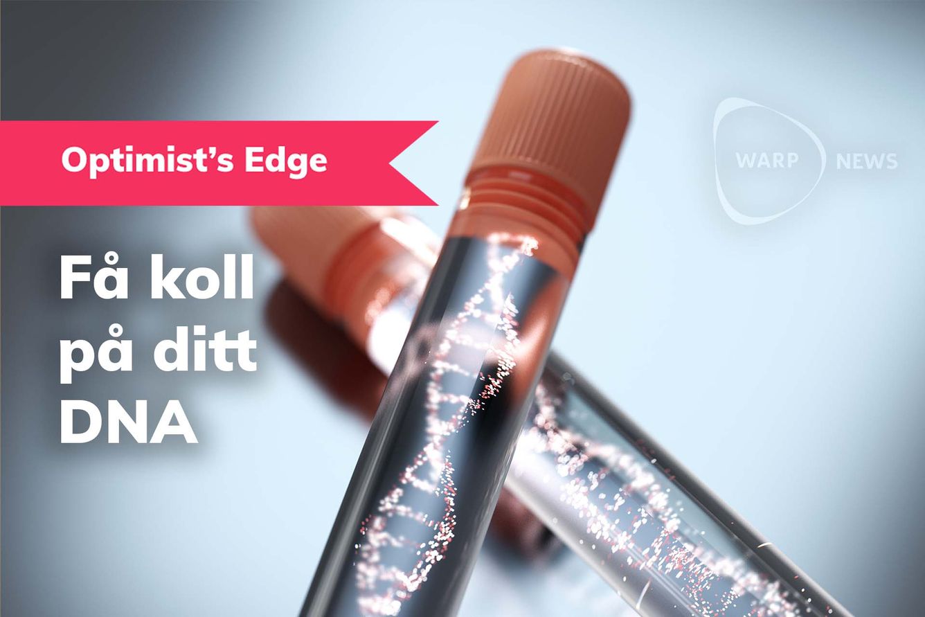 💡 Optimist's Edge: Så kan insikter om ditt eget DNA förändra ditt liv