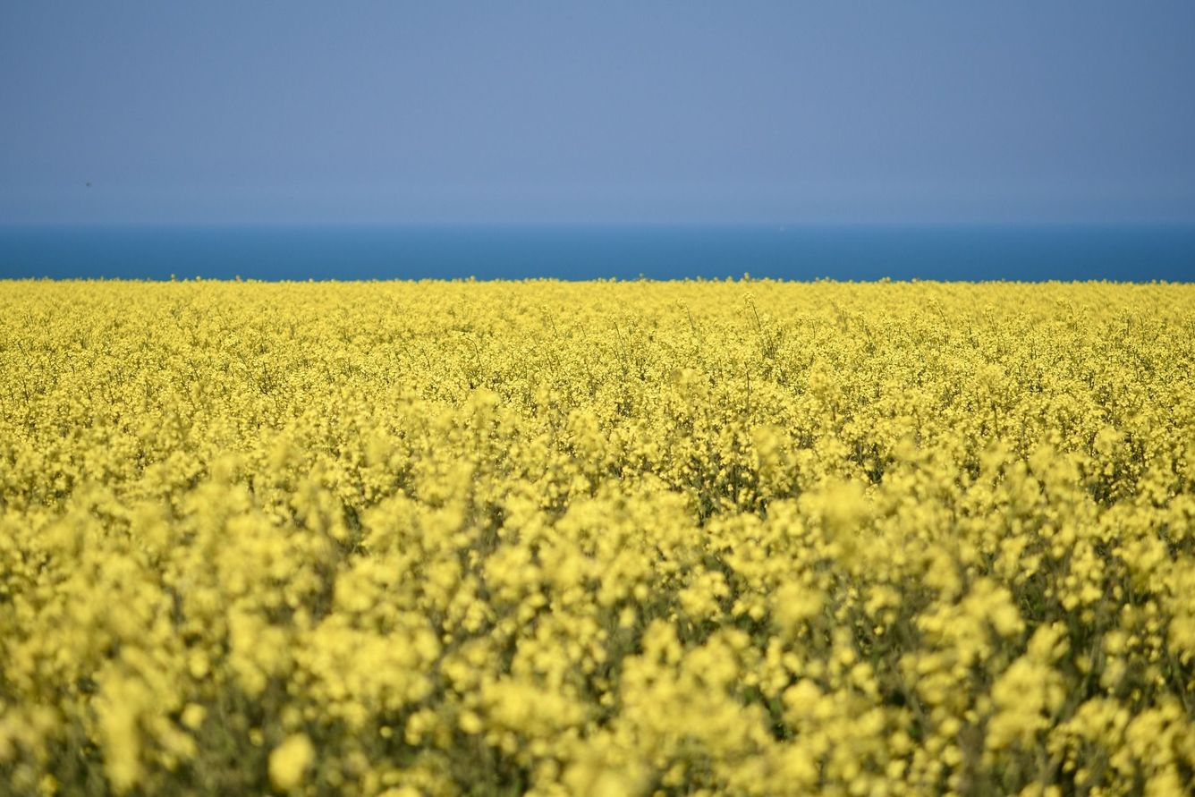 🚜 Cirkulärt jordbruk kan minska övergödningen av Östersjön