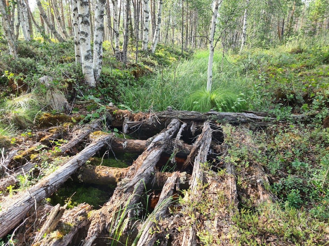 🧠 AI underlättar klimatanpassning genom att hitta dolda diken