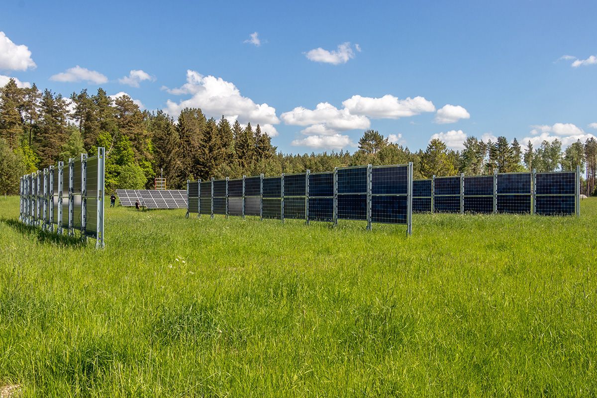 🍀 Solceller på åkrarna ger större skördar