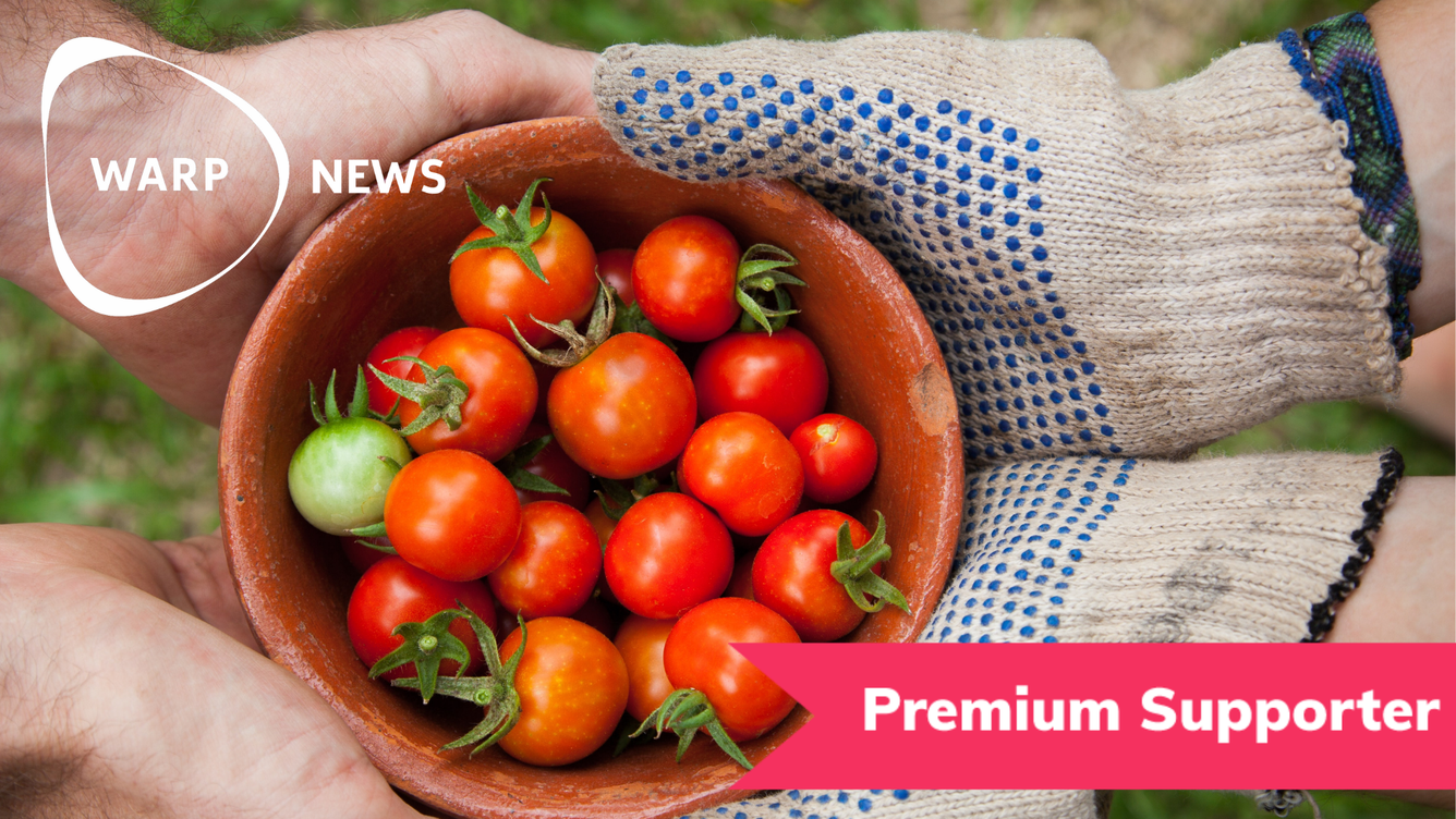 🍽️ Därför kommer du – och planeten – leva längre med växtbaserad kost