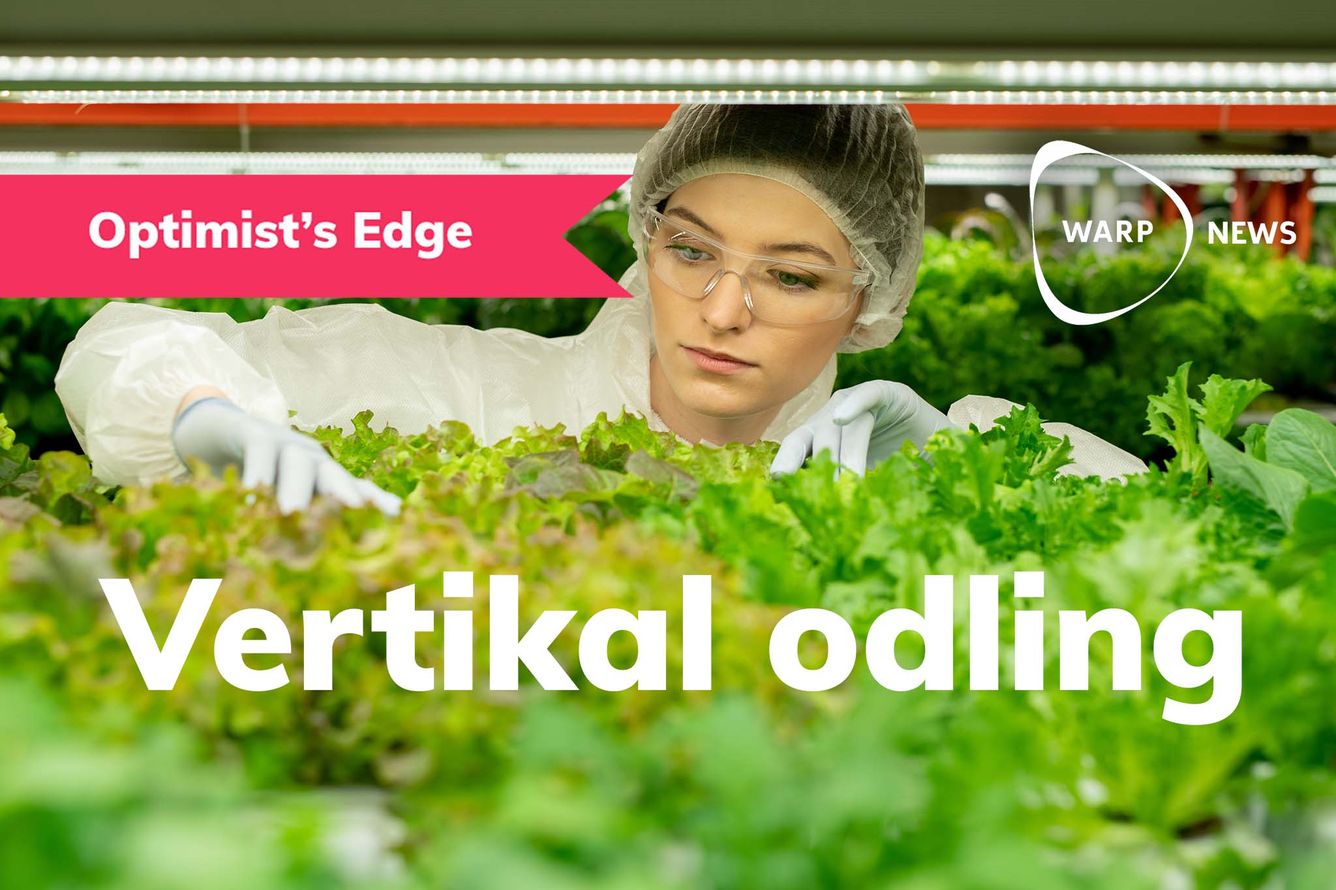 💡 Optimist's Edge: Framtidens odling flyttar in