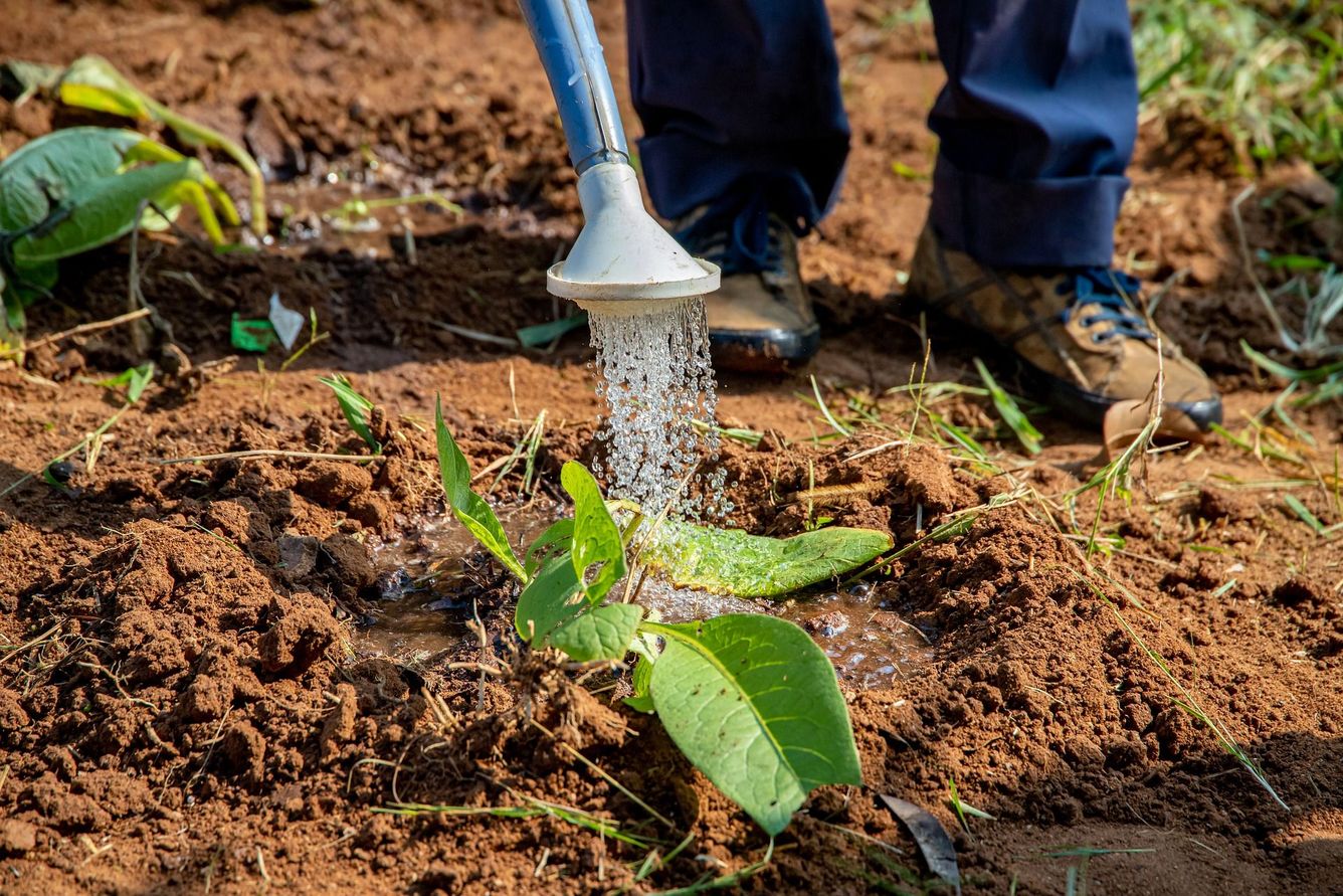 💧 Grundvattnet kan rädda Afrika från torka