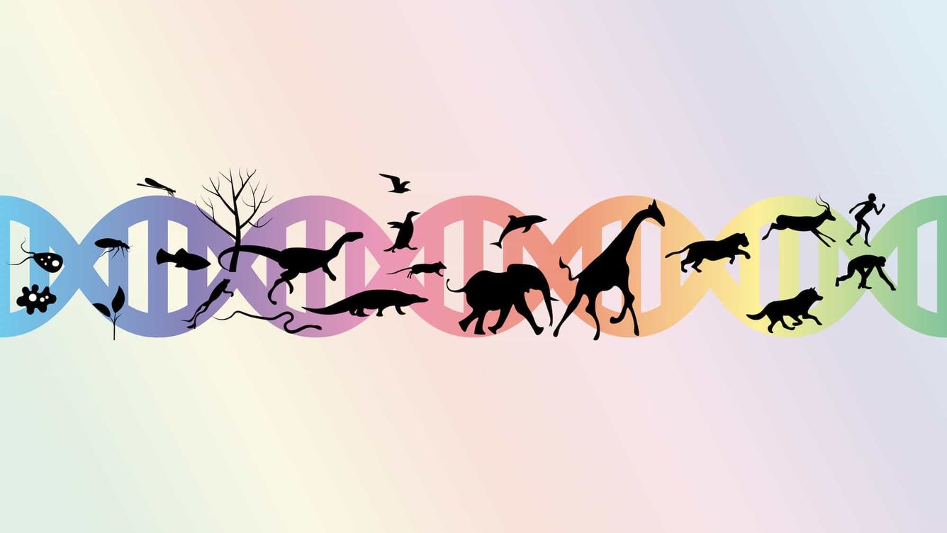 🧬 Utdöda djur kan få nytt liv med gensaxen CRISPR