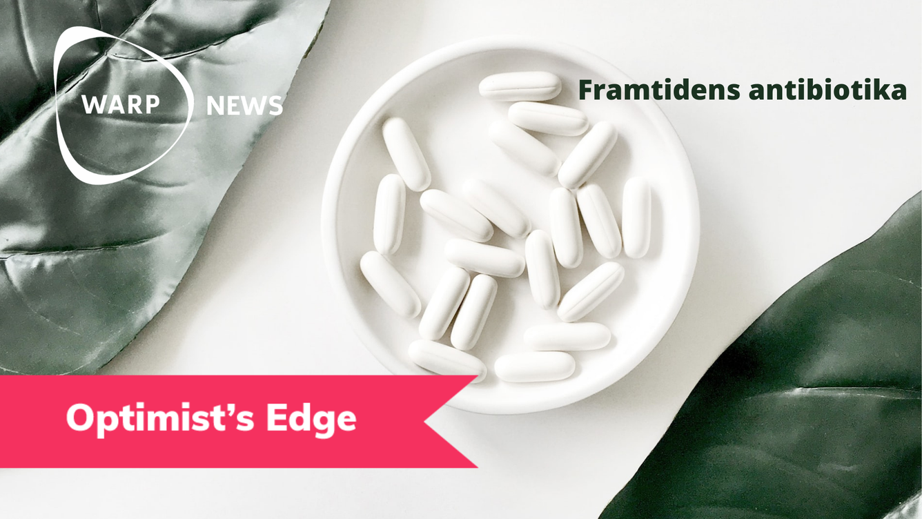 💡 Optimist's Edge: Räkna inte ut antibiotikan än