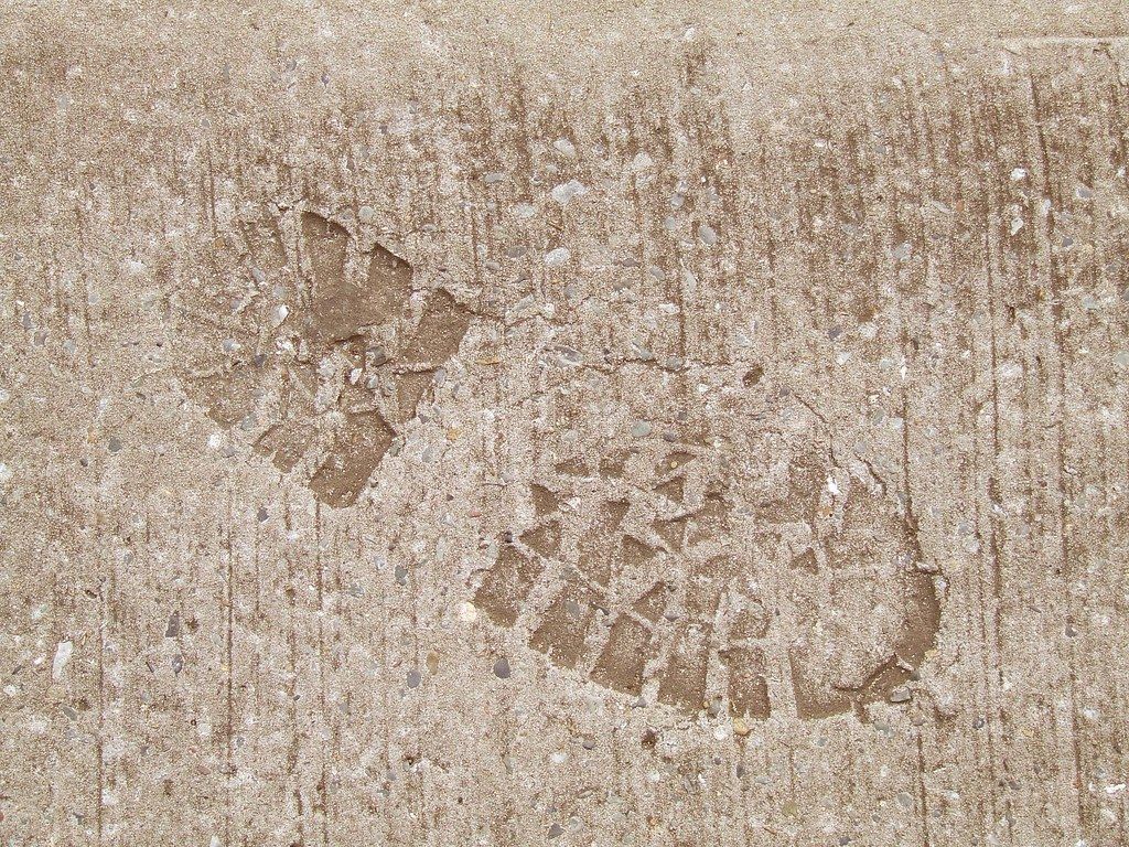 ♻️ Alger kan ge klimatnetural cement