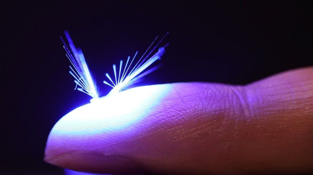 🛩 Minirobot behöver bara vind och ljus för att flyga